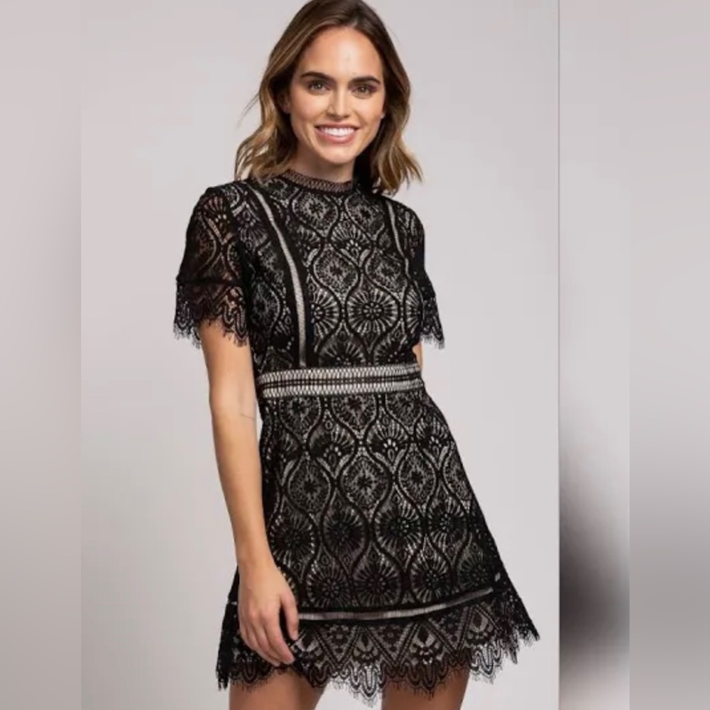 Hailey & Co Black Lace Mini Dress Size 3X, New Without Tags | Color: Black/Tan
